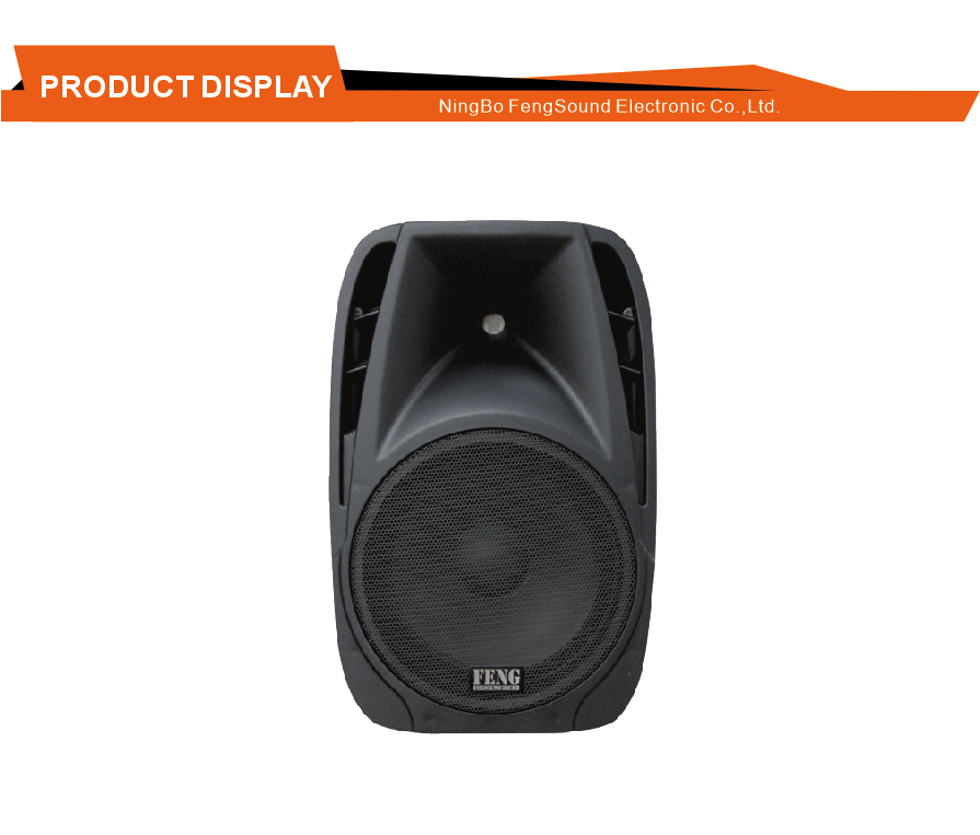 Altavoz de plástico para lugares pequeños Small Venue Plastic Speaker