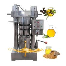 Olive Oil Production Machine in Turkey and Ethiopia