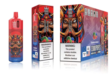 High quality Disposable Rechargeable Vape Pen bang 13000