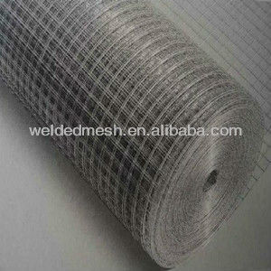 Top Qulity Welded Wire Mesh Rolls