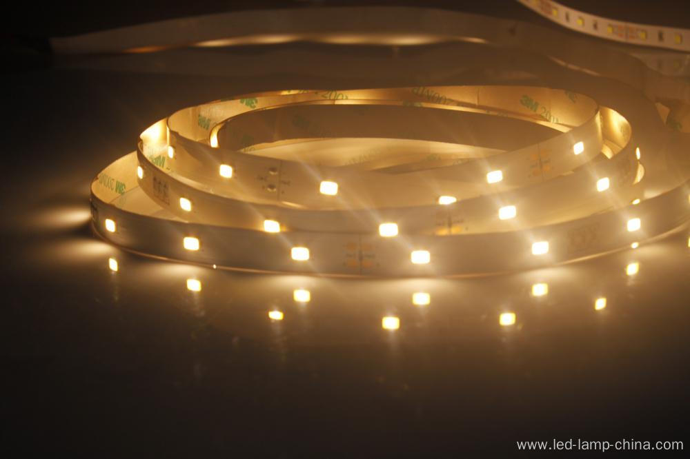 High Lumens 12V White SMD5630 LED Strip Light