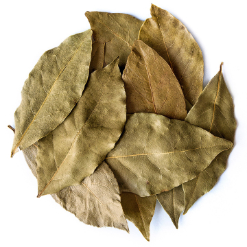 Hot Sale Dried Myrcia Leaves: Unique Condiments, Herbs, and Spices