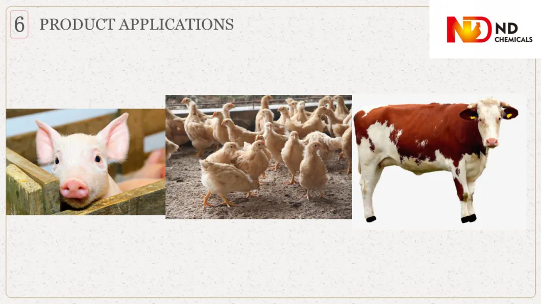 Poultry Feed Additives Betain HCl 98% Vitamin Nutrition