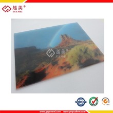 Lexan Made PC Sheets Beautiful Decoration-Printing Sheet