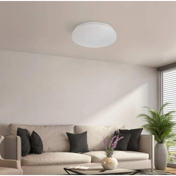 Indoor emergency ceiling light IP65