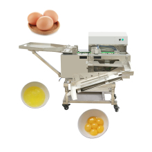 Egg Processing Machinery: Washing, Breaking, and Cracking Machines