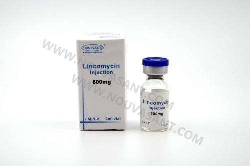 Lincomicina inyectable 600mg / 2ml