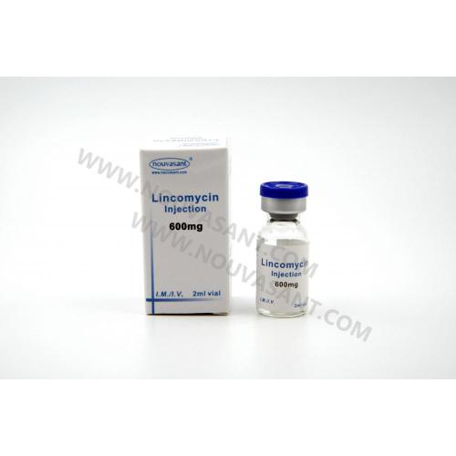 Lincomycin Injection 600mg/2ml