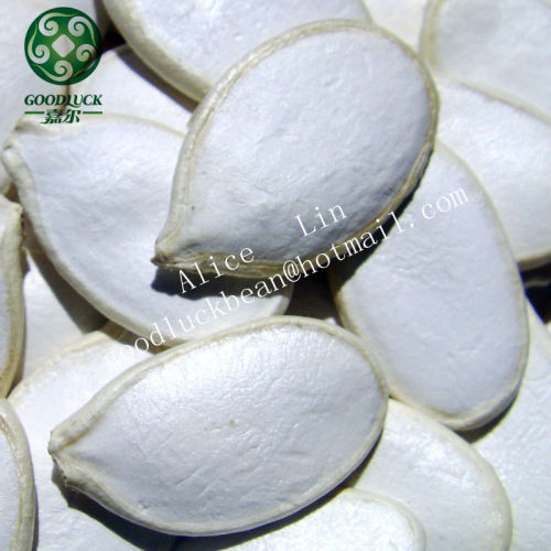 2013 Crop Raw Pumpkin seed Price