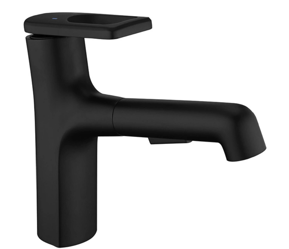 20% Water Saving Pull-Out Faucet