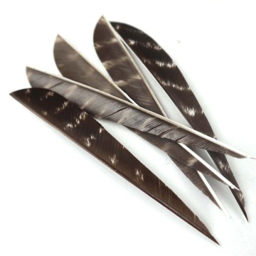 3 to 5 Inch Right Wing Turkey Feather Vanes Carbon Wooden Bamboo Arrows for Traditional Archery and Bow Hunting