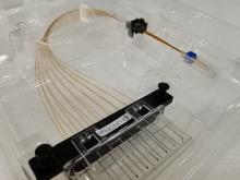 Capillary Arrays for Sequencing and Fragmentation