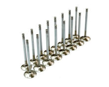 Marine In&Ex Engine Vavle for NingDong G300