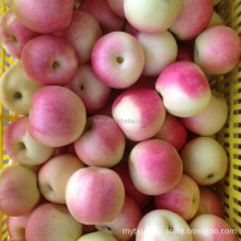 royal gala red gala fresh gala