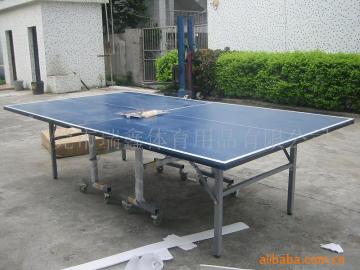 Ping Pong Table