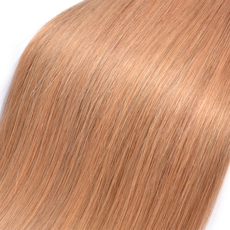 Xuchang wholesale hair vendors free sample virgin brazilian human hair bundles color 27 straight hair extension