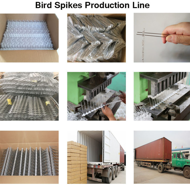 Single anti-bird spines all stainless steel 304 bird spikes eaves with 50CM scare bird spines