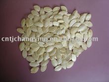 shine pumpkin seeds