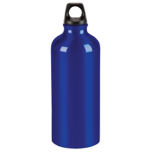 Trek Bottle - 20 oz