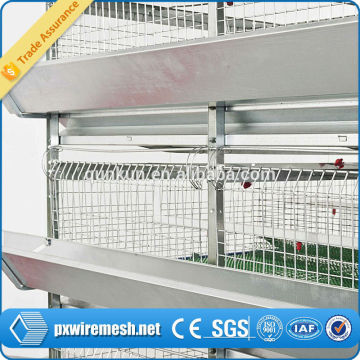 iron wire mesh quail cage design,metal quail cage,commercial quail cages