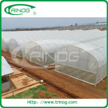 Economical poly tunnel greenhouse for agriculture used