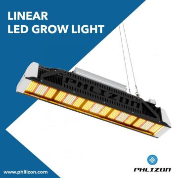 Promoção dos EUA Phlizon SMD led planta crescer luz