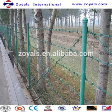 Jail PVC Galvanized Barbed Wir