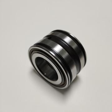 SL0450 Full Complement Cylindrial Roller Bearing