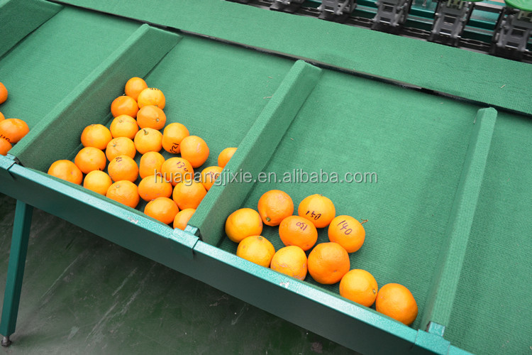 Automatic tomato fruit weight sorter pomegranate sorting machine mandarin and orange grading sorting machine.