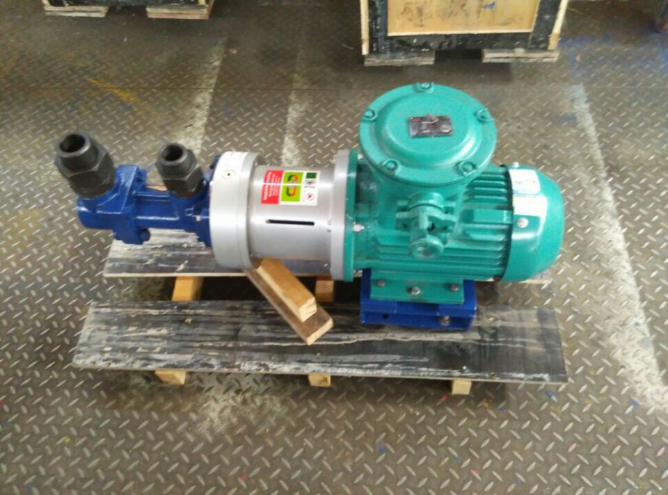 magnetic oil pump