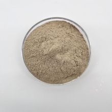 Wastewater Bacteria Effectively Reduce Organic Pollutants