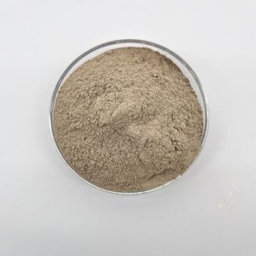 Wastewater Bacteria Effectively Reduce Organic Pollutants