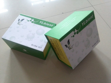 Rat follicle-stimulating hormone,FSH ELISA Kit