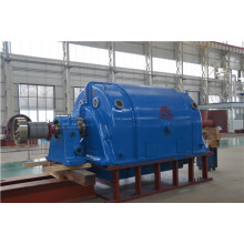 1-50MW Brushless excitation generator