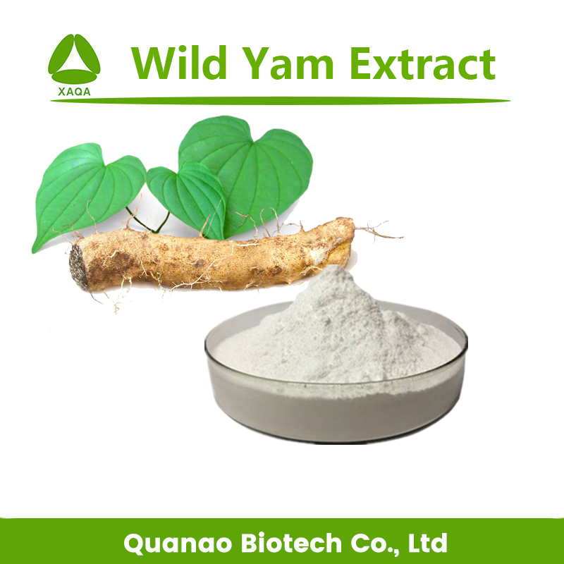 Wild -Yam -Extrakt Dehydroepiandrosteron 99% Pulver