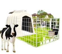 High Quality Plastic Assemble Calf Hutch for Cows - Affordable Calf House
