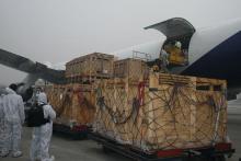 International Logistics Service Dropshipping to Worldwide