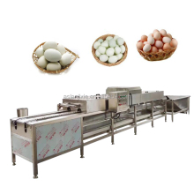 Best Egg Washer Cleaning Machine for Chicken, Duck, and Goose Eggs