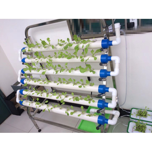 Hydroponics Sistema de crecimiento de la tubería PVC Sistema hidropónico