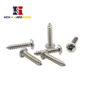 Philips Pan Head Tapping Screw Stainless Steel