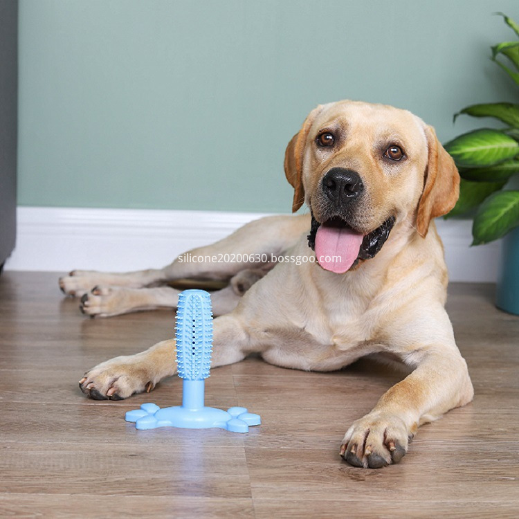 Zahnbürsten-Reinigungssnacks toothbrush cleaning chews