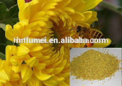 100% pure sunflower pollen for human