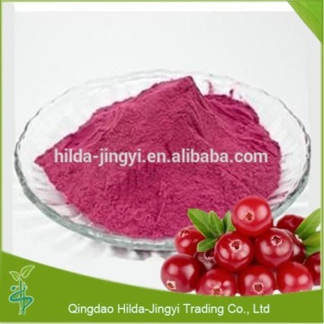 Cranberry extract powder procyanidin