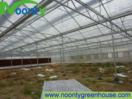 Galvanized Steel Frame Greenhouse