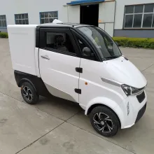 EEC L6e Approval Amazon Electric Delivery Vans for Goods Delivery