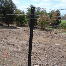 USA Type Farm fence studded T posts