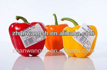 printing company food barcode label,peel off labels