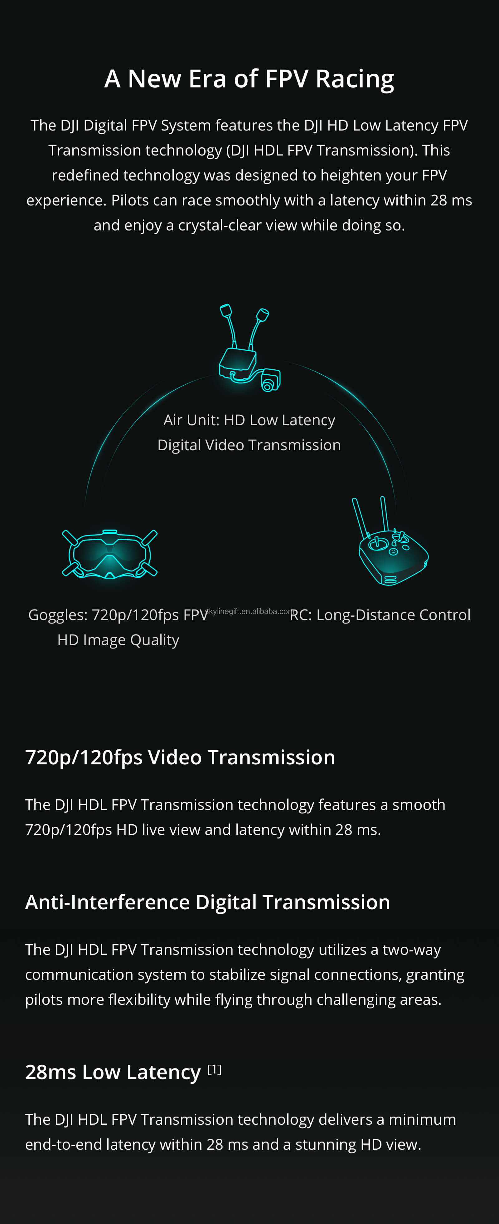 DJI FPV Experience Combo