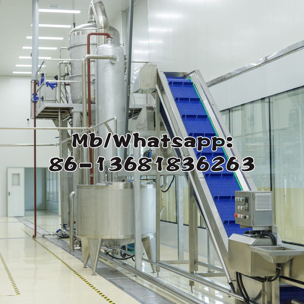 Customized Tomato Paste Processing Machine