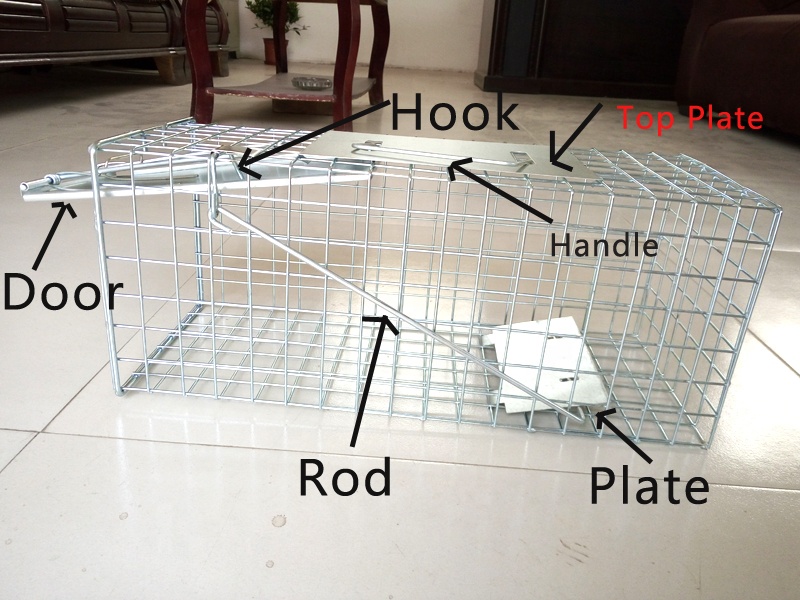 Liebang High Quality Low Price Ground Squirrel Trap Cage Squirrel Trapping Tools